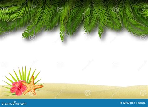 Seamless Beach Border Frame. Vector Stock Vector - Illustration of ...