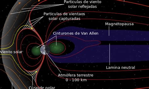 Descubre el fascinante mundo de los grupos parafiléticos y su