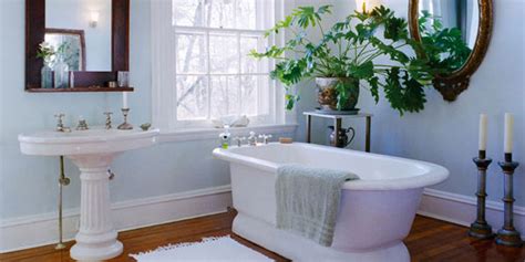 Feng Shui Bathroom Plants for Health, Wealth & Luck