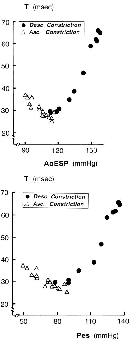 Change In Aortic End Systolic Pressure By Alterations In Loading