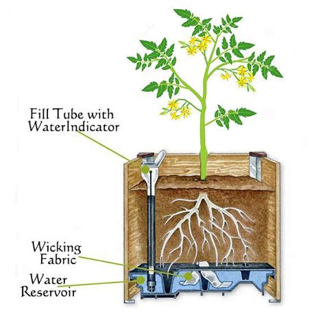 Self Watering Planter Boxes Ecodesign Self Watering Planter