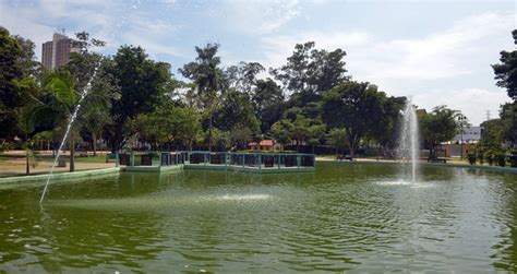 Manutenção Geral No Parque Santos Dumont Prefeitura De São José Dos