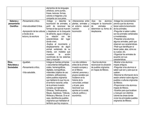 Plano Didactico De La Nueva Escuela Mexicana PPT