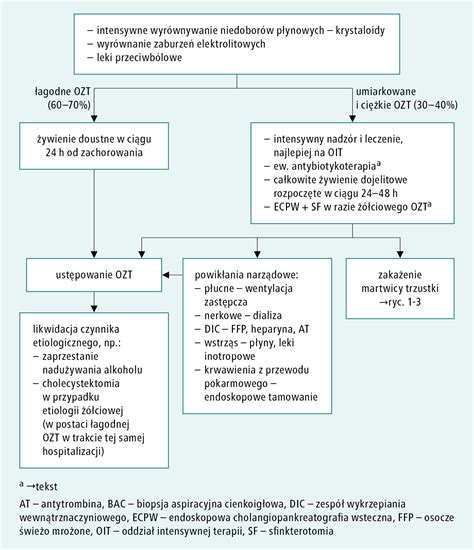 Rycina Algorytm Leczenia Ostrego Zapalenia Trzustki Ozt Interna