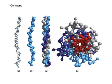 Estrutura Tridimensional Das Proteinas - Estructura tridimensional proteínas