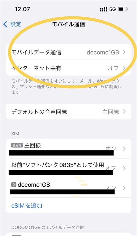 Iphone Docomo Sim Esim Sim