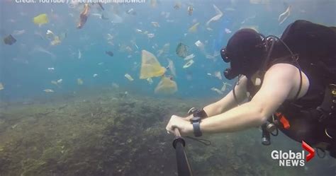 ‘so Much Plastic Divers Video Captures Garbage Filled Waters Off