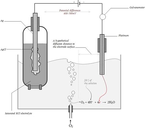 Measurement Of Oxygen Tension By Electrolysis Of Dissolved Oxygen