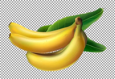 Cacho De Bananas Folhas Verdes Em Fundo Transparente Psd Premium