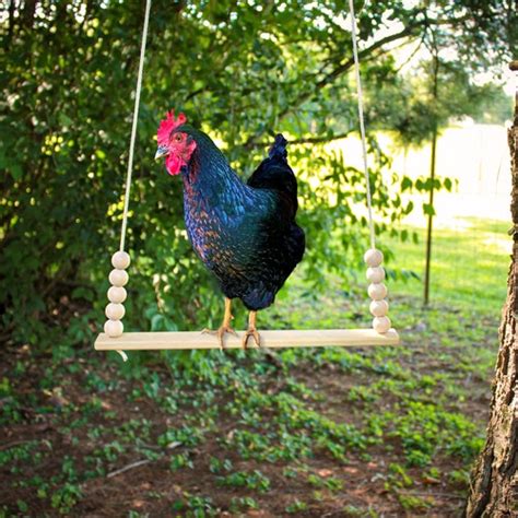 Backyard Barnyard Chicken Swing Handmade In Usa Flat Bar Etsy