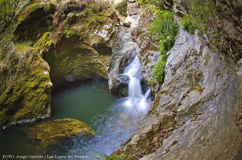 Sierra De Aracena Y Picos De Aroche Un Tesoro Entre Encinas Milenarias