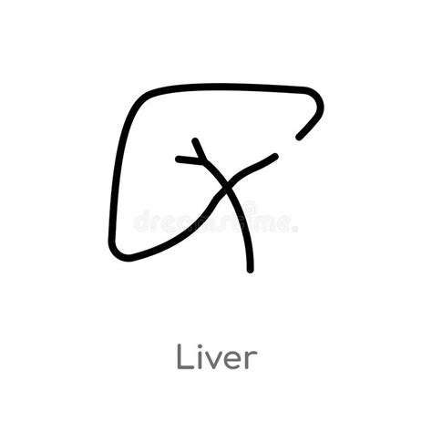 Outline Liver Vector Icon Isolated Black Simple Line Element Illustration From Medical Concept