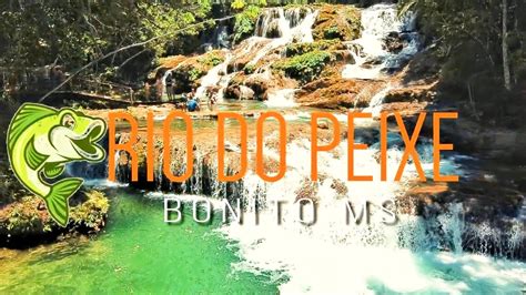 Trilha De Cachoeiras Do Rio Do Peixe Bonito MS YouTube