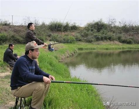 冷天要想釣好大板鯽，這兩種窩料值得一試——盛世三漁 每日頭條