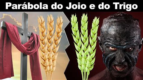 O Joio E Trigo Par Bola Do Joio E Do Trigo Youtube