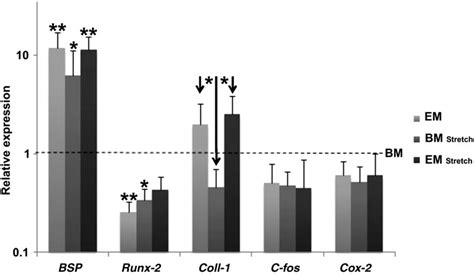 Influence Of Cyclic Strain And Emd On Gene Expression Values Were