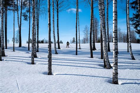 Hiihtop Kaupunki Latu Polku