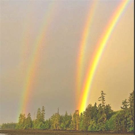 The beauty of a quadruple rainbow | Quadruple rainbow, Science nature, God's promise