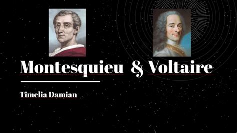 Montesquieu And Voltaire By Timelia Damian