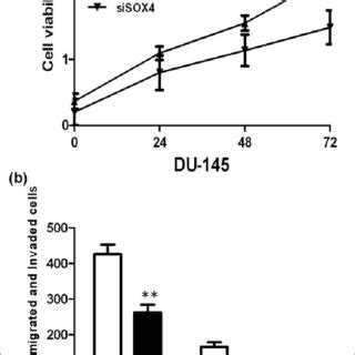 A Qrt Pcr Showing Expression Level Of Sox Mrna In Du Si Sox