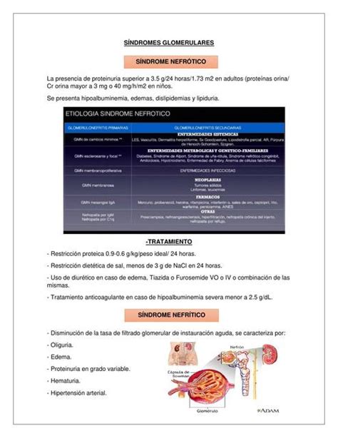 Síndromes glomerulares IOVANNY CRUZ OJEDA uDocz