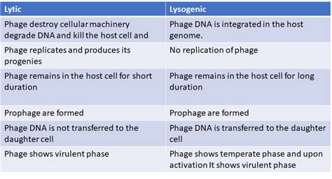 Solved Compare And Contrast The Lytic And Lysogenic Cycles In