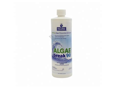 Pool360 12cs Qt Algae Break 90 Algaecide