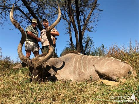 Kudu Hunt South Africa