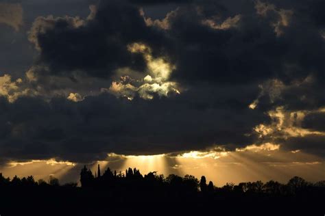 Silhouette Of Trees Under Cloudy Sky During Sunset Puzzle Factory