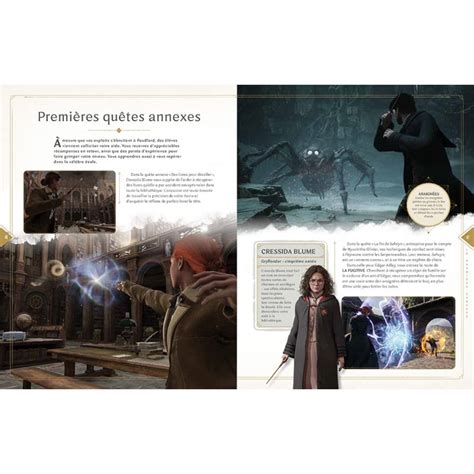 Le Guide Officiel Du Jeu Hogwarts Legacy Ludistri Grossiste Harry Potter