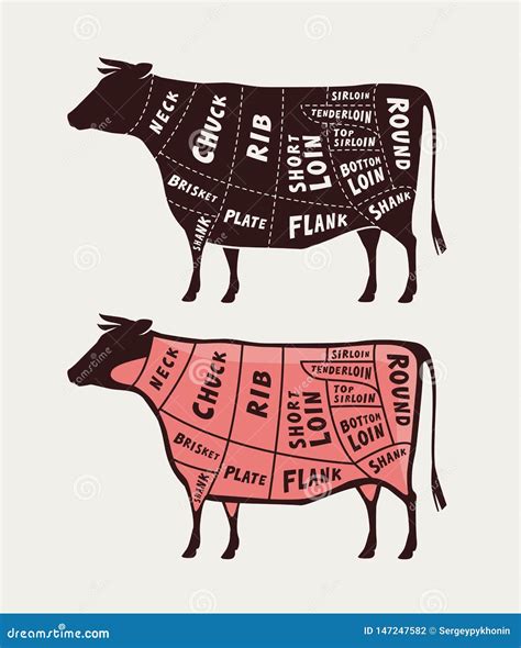 Cut Of Meat Beef Poster Butcher Diagram And Scheme Vector Illustration Stock Vector