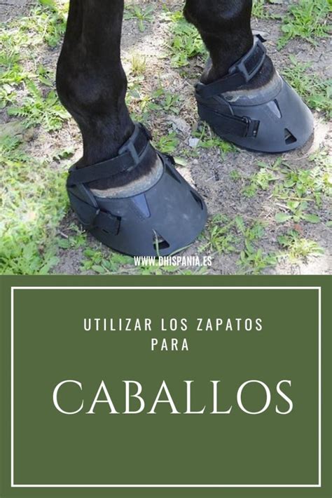 Blog Zapatos para Caballos Tienda Hípica D Hispania