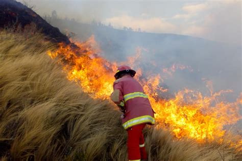 Ncash Incendio Forestal Arrasa Hect Reas De Pastos Naturales Yo