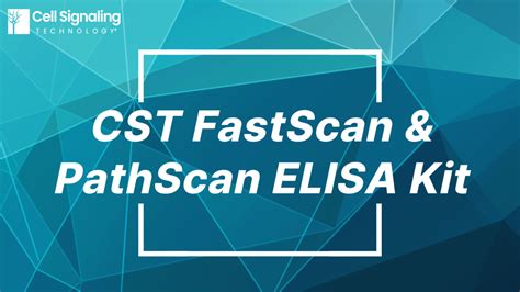 [Cell Signaling Technology] CST FastScan&PathScan ELISA Kit - 서린바이오사이언스