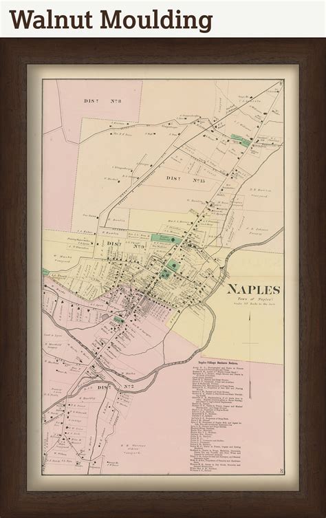 NAPLES, New York 1874 Map