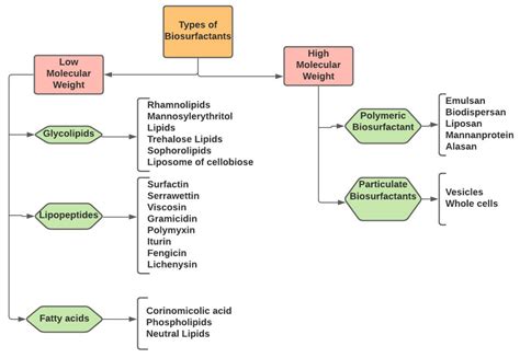 Agronomy Free Full Text Biosurfactants Potential And Eco Friendly