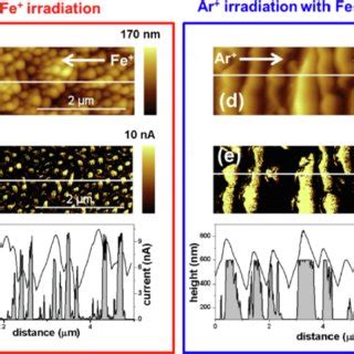 Afm Images Of Samples Irradiated With A C Fe And D F Ar Beams