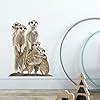 Amazon RoyoLam Lifelike A Group Of Meerkats Wall Decal Nursery