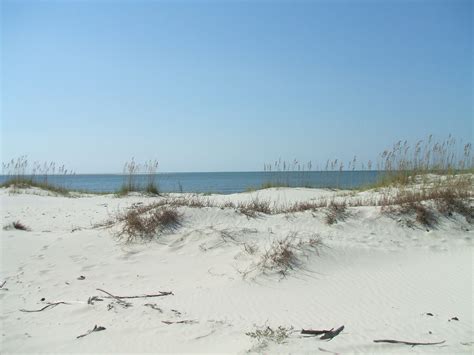 Kayaking at St. Vincent Island on Florida's Forgotten Coast | Northwest ...