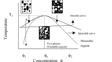 A schematic representation of a binary phase diagram of a polymer... | Download Scientific Diagram