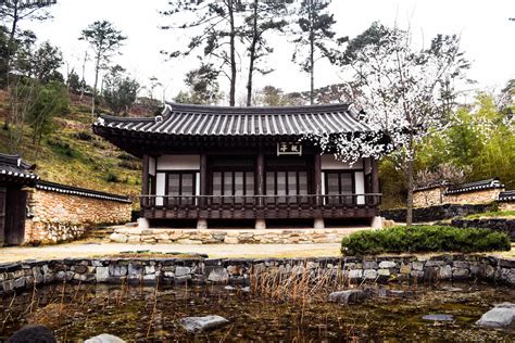 Suncheon Bay National Garden and Suncheonman Bay Wetland Reserve