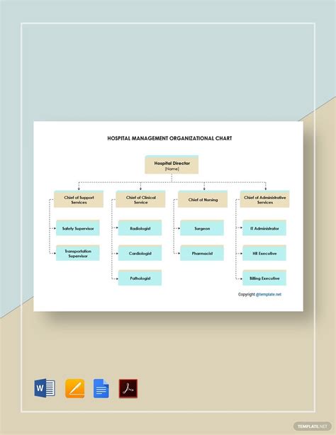 Hospital Organizational Chart Template