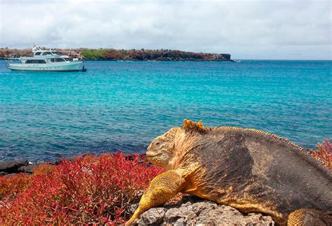 GalÁpagos From Santa Cruz 4 Days 3 Nights Journey In Two Different