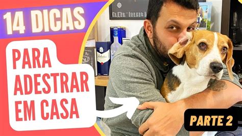 14 Dicas Para ADESTRAR Seu CACHORRO BEAGLE Em Casa PARTE 2 YouTube