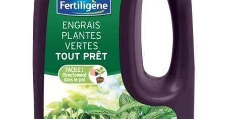 Engrais Plantes Vertes Tout Pr T Liquide Fertiligene L La Boutique Derly