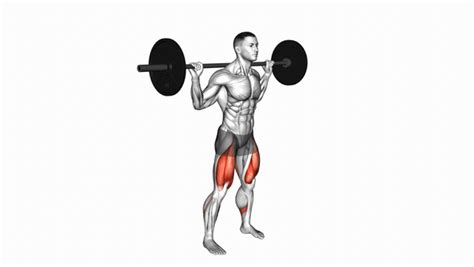 Barbell High Bar Squat