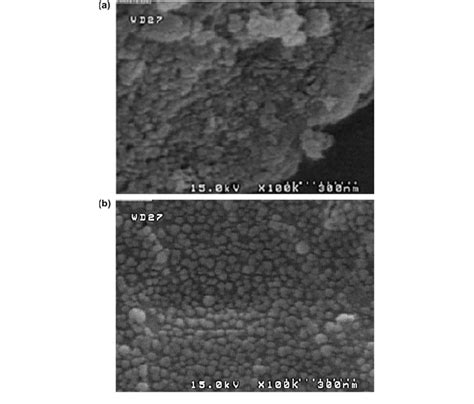 The Fesem Image Of Naked Nano Alumina A And Modified Sds Nano