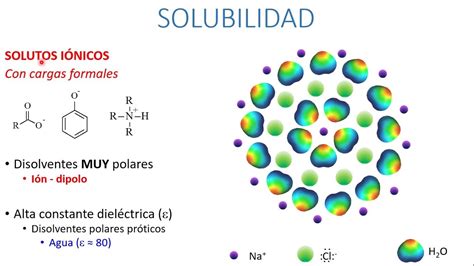 agudo Pensativo bádminton relacion entre solubilidad y polaridad