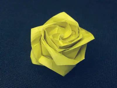 Origami flower rose in bloom instruction