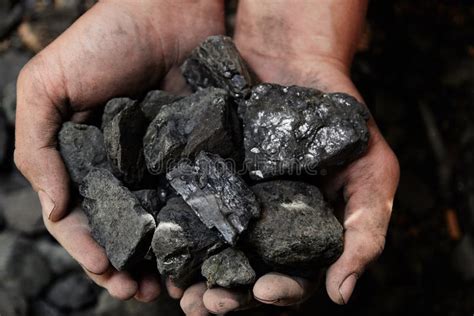 Coal Miner in the Man Hands of Coal Background. Coal Mining or E Stock ...